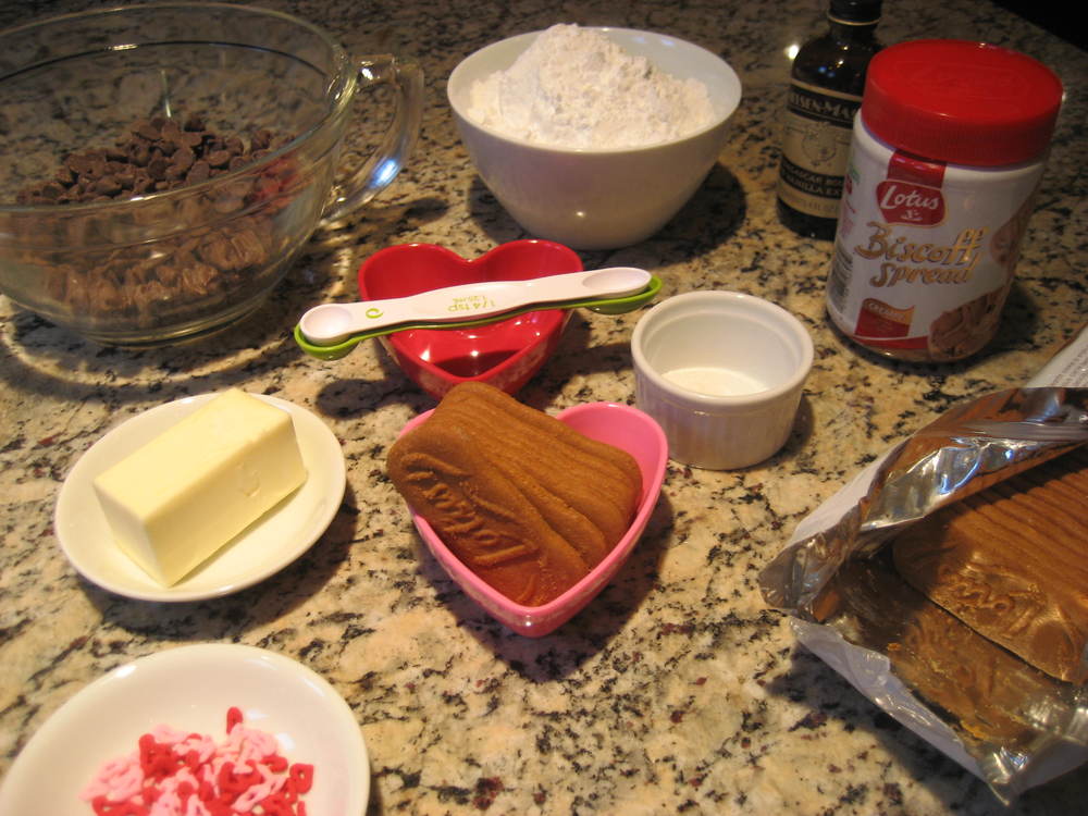  Ingredients for Chocolate Covered Cookie Butter Balls 
