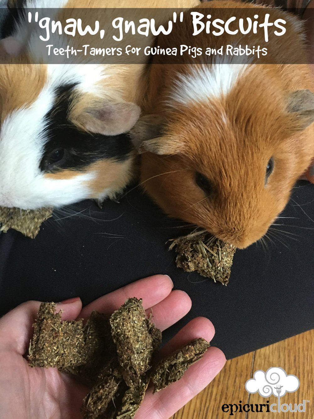 guinea pig biscuits