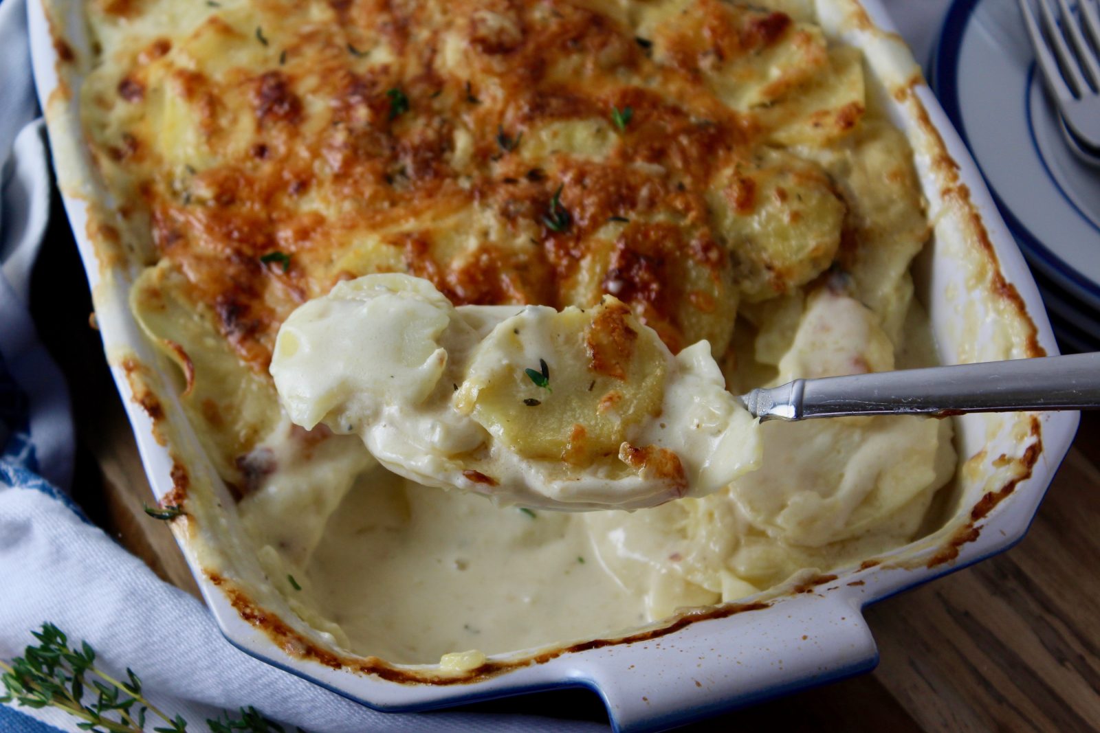 Creamy Potatoes Au Gratin - Close up photo of casserole with a spoonful lifted out.