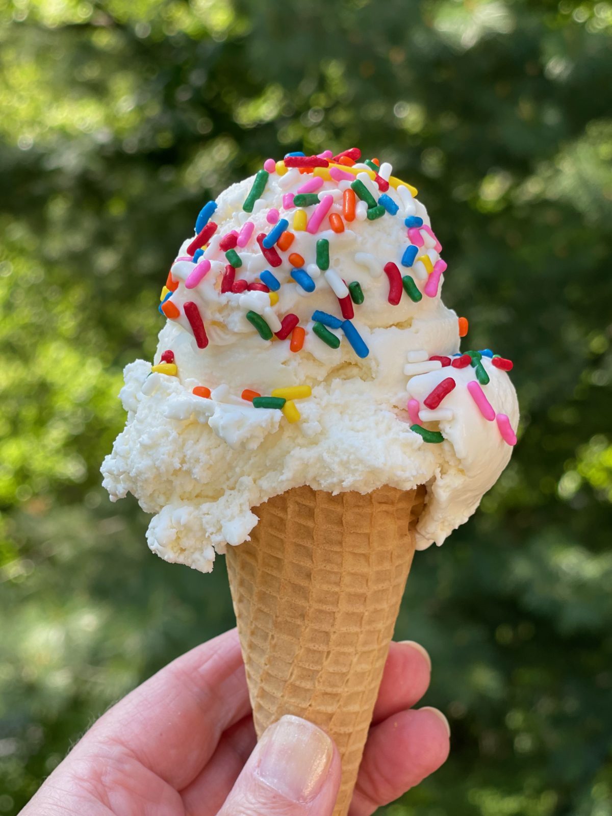 Simple KitchenAid Vanilla Ice Cream Recipe - Exquisitely Unremarkable