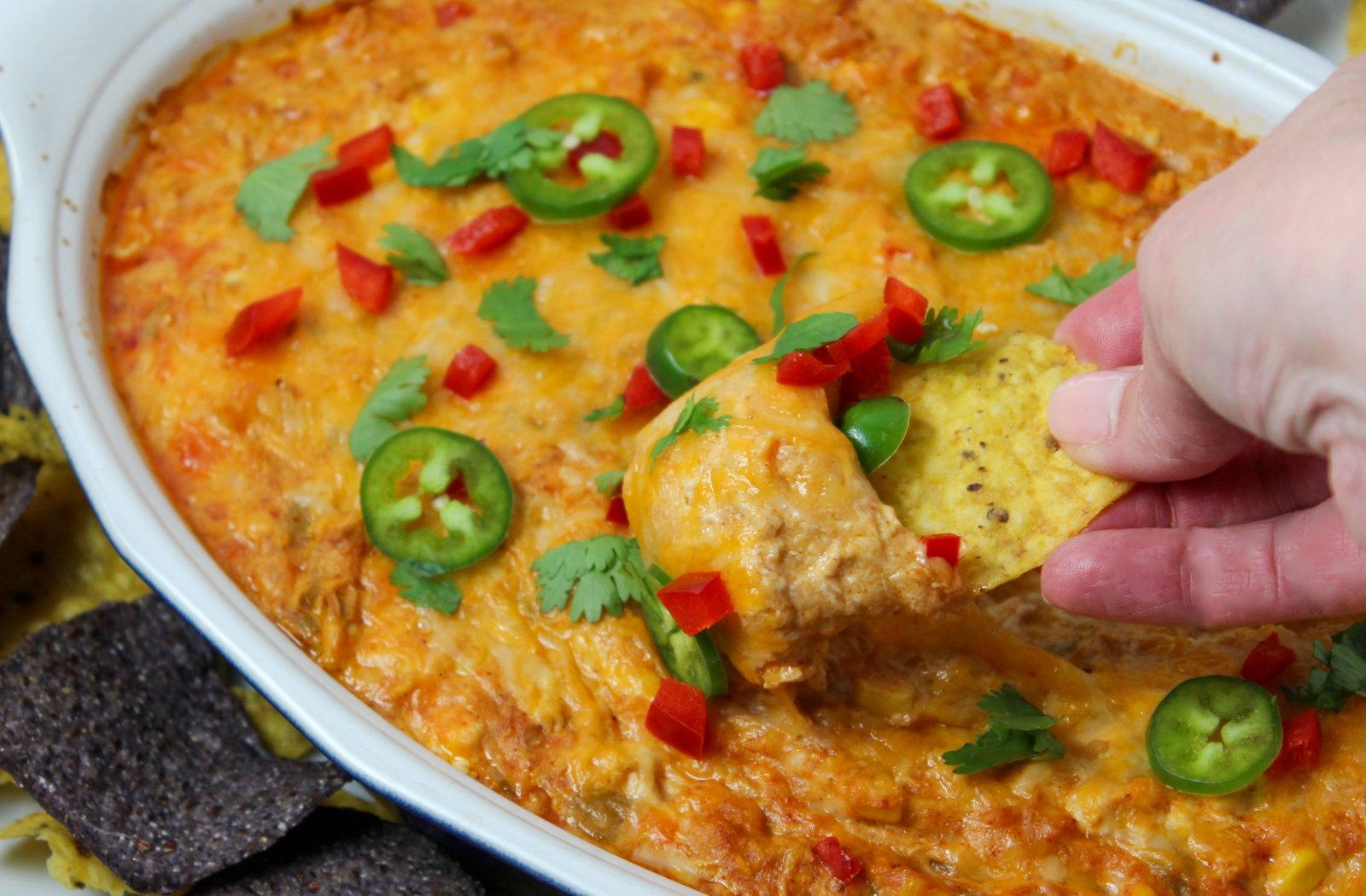 Recipe Photo for Chicken Enchilada Dip. Overhead shot of baked dip in oval stoneware baker surrounded by multi colored tortilla chips. Dip is covered in cheddar cheese and sprinkled with sliced jalapeños, diced red bell peppers and a sprinkle of cilantro. Photo is landscape orientation. A hand is dipping into the dip with a tortilla chip.