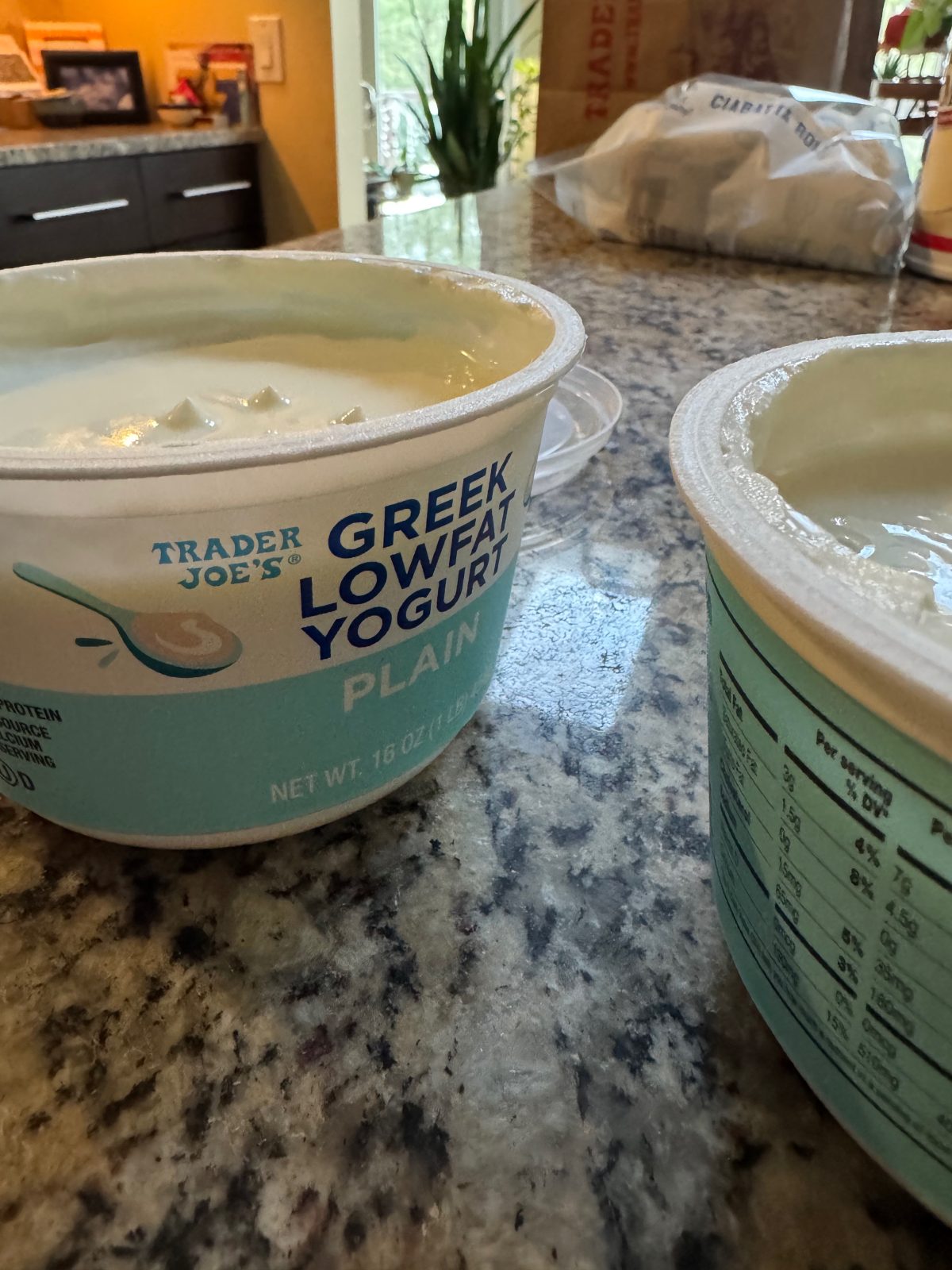 Recipe image for Viral Greek Yogurt Biscoff Cheesecake (tiramisu version) Shows Trader Joes 16 ounce plain Greek Yogurt Tub on Granite Countertop